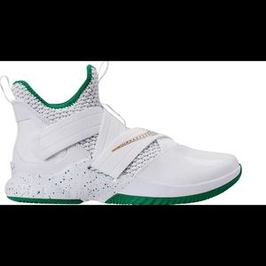 Size 11 LeBron soldier 12s St vincent st mary